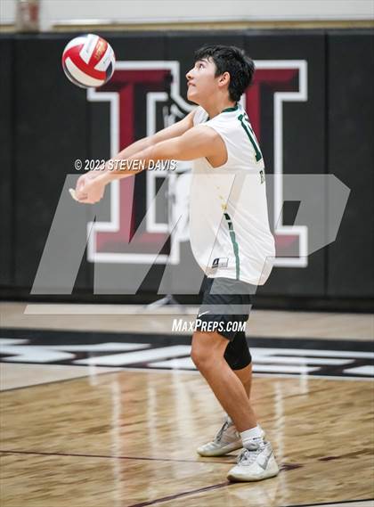 Thumbnail 2 in Basha @ Hamilton photogallery.