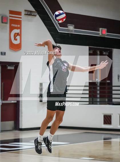 Thumbnail 3 in Basha @ Hamilton photogallery.
