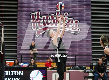 Thumbnail 3 in Basha @ Hamilton photogallery.