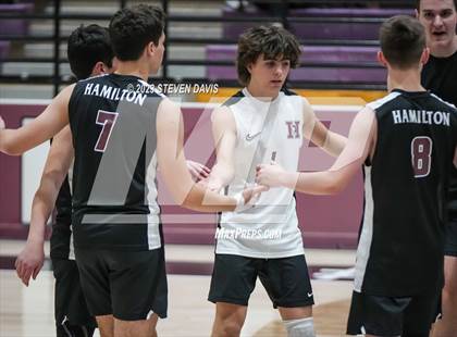 Thumbnail 2 in Basha @ Hamilton photogallery.