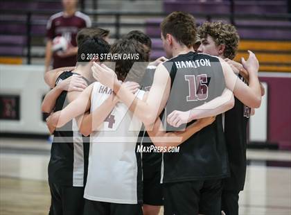 Thumbnail 1 in Basha @ Hamilton photogallery.