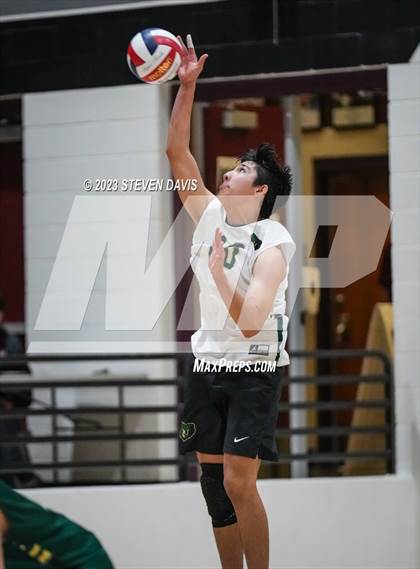 Thumbnail 3 in Basha @ Hamilton photogallery.