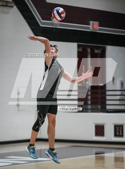 Thumbnail 1 in Basha @ Hamilton photogallery.