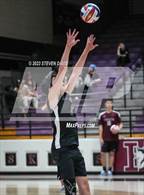 Photo from the gallery "Basha @ Hamilton"