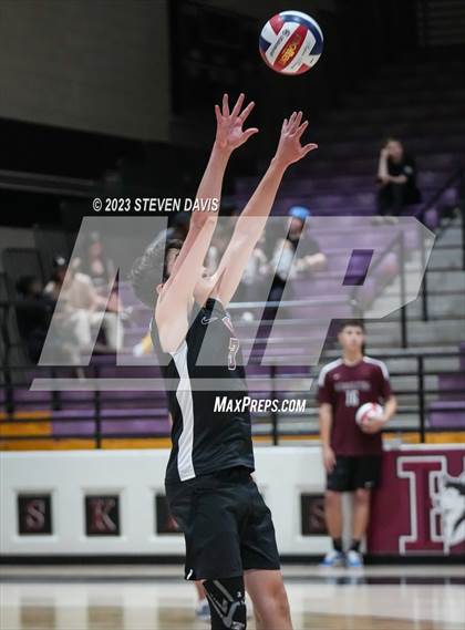 Thumbnail 1 in Basha @ Hamilton photogallery.
