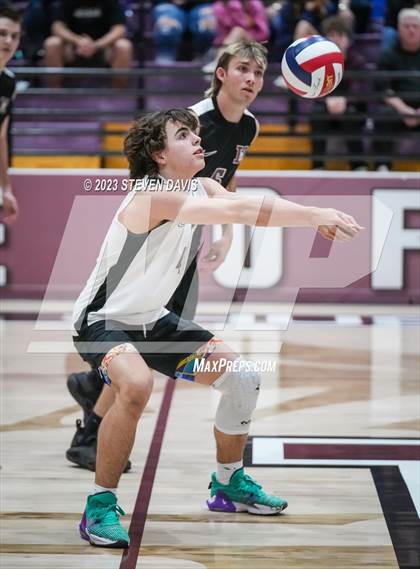Thumbnail 3 in Basha @ Hamilton photogallery.