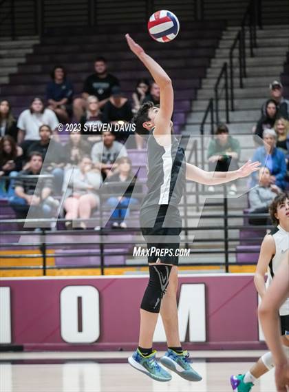 Thumbnail 1 in Basha @ Hamilton photogallery.