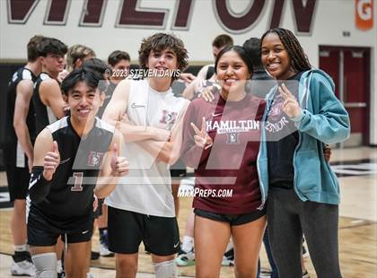 Thumbnail 1 in Basha @ Hamilton photogallery.