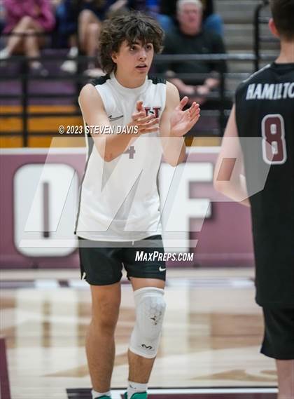 Thumbnail 3 in Basha @ Hamilton photogallery.