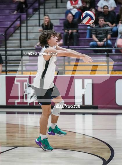 Thumbnail 1 in Basha @ Hamilton photogallery.