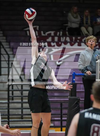 Thumbnail 3 in Basha @ Hamilton photogallery.