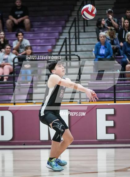 Thumbnail 1 in Basha @ Hamilton photogallery.