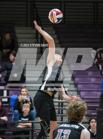 Thumbnail 3 in Basha @ Hamilton photogallery.