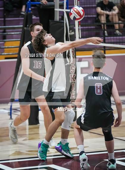 Thumbnail 1 in Basha @ Hamilton photogallery.