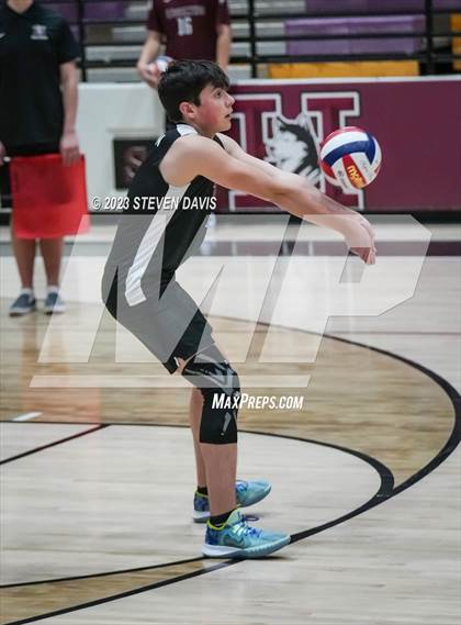 Thumbnail 1 in Basha @ Hamilton photogallery.