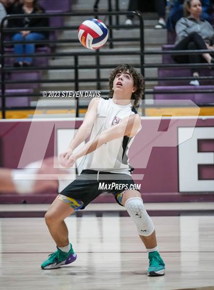 Thumbnail 2 in Basha @ Hamilton photogallery.