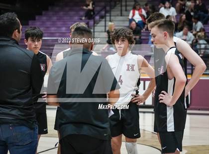 Thumbnail 2 in Basha @ Hamilton photogallery.