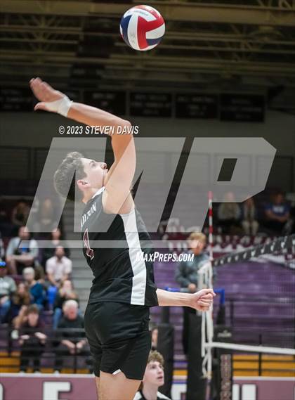Thumbnail 3 in Basha @ Hamilton photogallery.