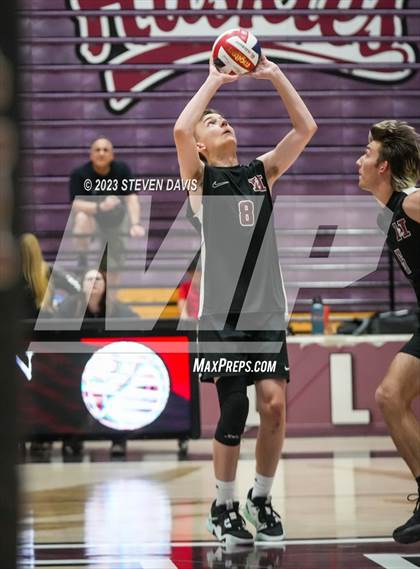 Thumbnail 1 in Basha @ Hamilton photogallery.