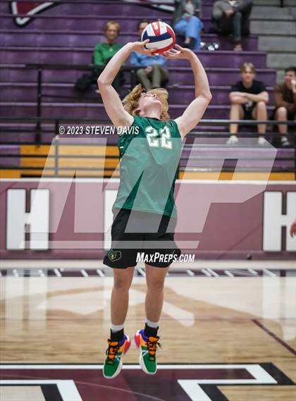 Thumbnail 2 in Basha @ Hamilton photogallery.