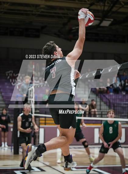 Thumbnail 2 in Basha @ Hamilton photogallery.