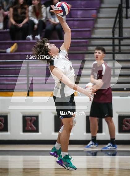 Thumbnail 3 in Basha @ Hamilton photogallery.