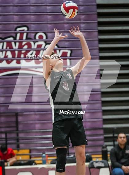 Thumbnail 1 in Basha @ Hamilton photogallery.