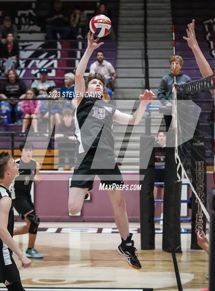 Thumbnail 1 in Basha @ Hamilton photogallery.