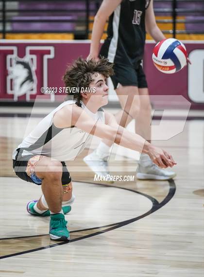 Thumbnail 2 in Basha @ Hamilton photogallery.