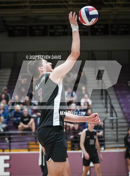 Thumbnail 2 in Basha @ Hamilton photogallery.