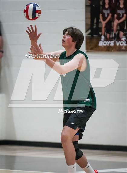 Thumbnail 3 in Basha @ Hamilton photogallery.