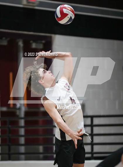 Thumbnail 3 in Basha @ Hamilton photogallery.