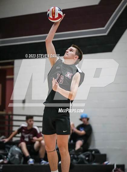 Thumbnail 1 in Basha @ Hamilton photogallery.