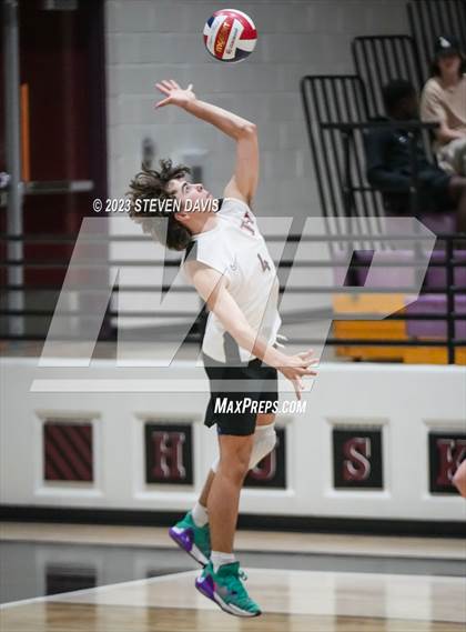 Thumbnail 1 in Basha @ Hamilton photogallery.