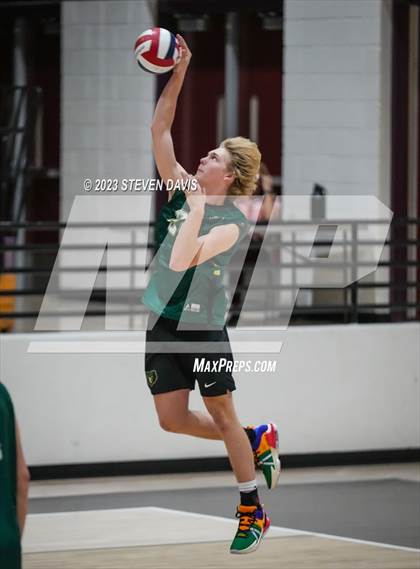 Thumbnail 1 in Basha @ Hamilton photogallery.
