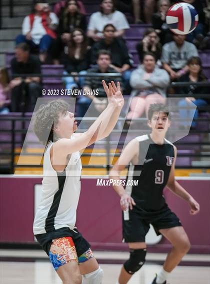 Thumbnail 1 in Basha @ Hamilton photogallery.