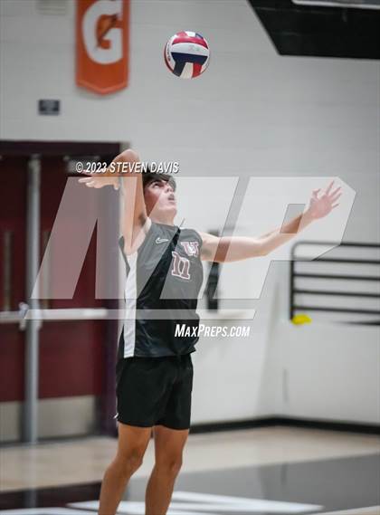 Thumbnail 1 in Basha @ Hamilton photogallery.