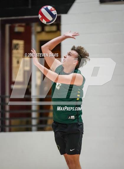 Thumbnail 3 in Basha @ Hamilton photogallery.