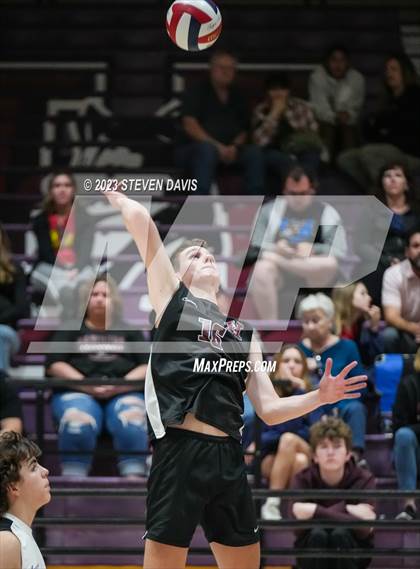 Thumbnail 1 in Basha @ Hamilton photogallery.