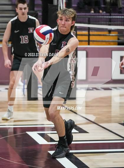 Thumbnail 2 in Basha @ Hamilton photogallery.