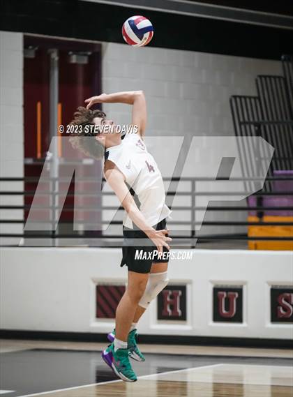 Thumbnail 2 in Basha @ Hamilton photogallery.