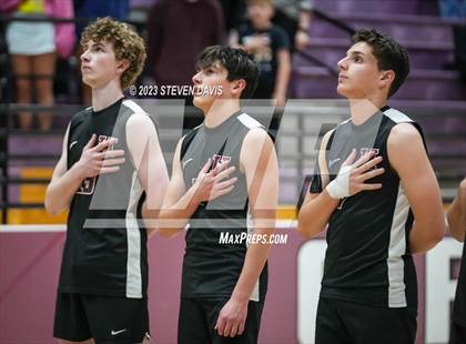 Thumbnail 1 in Basha @ Hamilton photogallery.