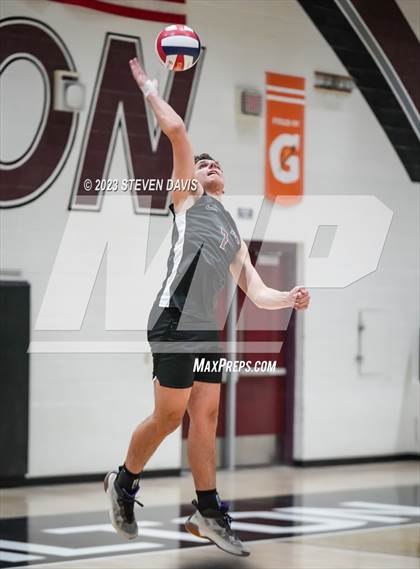 Thumbnail 1 in Basha @ Hamilton photogallery.