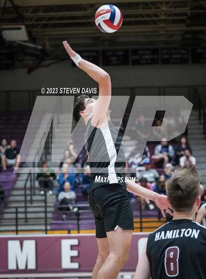 Thumbnail 3 in Basha @ Hamilton photogallery.