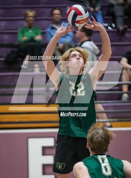 Thumbnail 1 in Basha @ Hamilton photogallery.