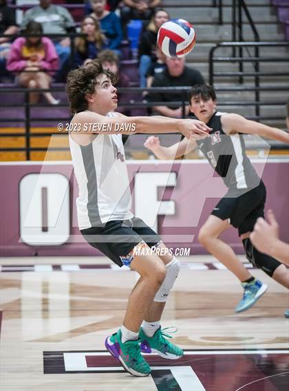 Thumbnail 1 in Basha @ Hamilton photogallery.