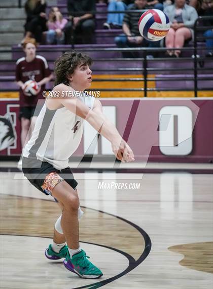 Thumbnail 2 in Basha @ Hamilton photogallery.
