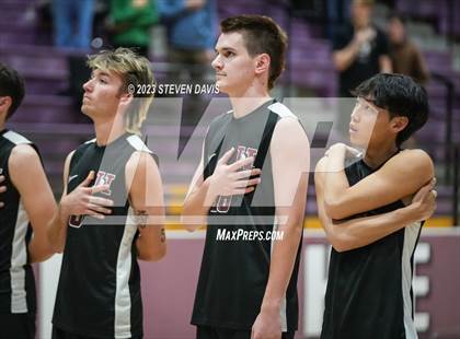 Thumbnail 3 in Basha @ Hamilton photogallery.