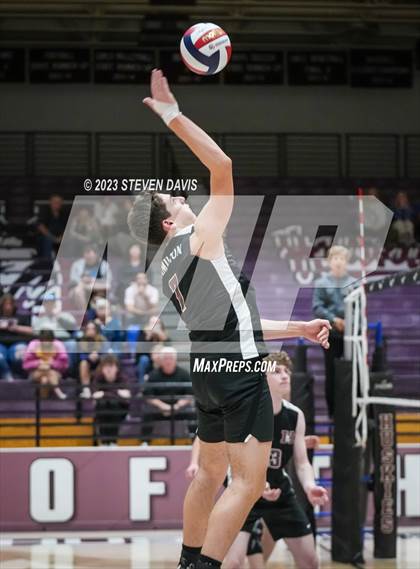 Thumbnail 2 in Basha @ Hamilton photogallery.