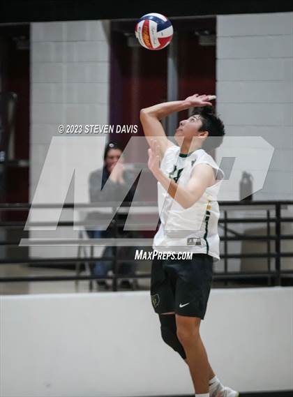 Thumbnail 1 in Basha @ Hamilton photogallery.